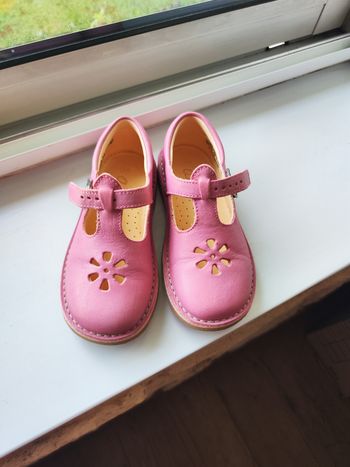 Aster taille 30