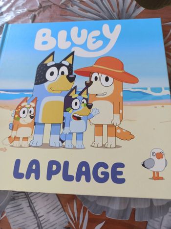 Bluet à la plage