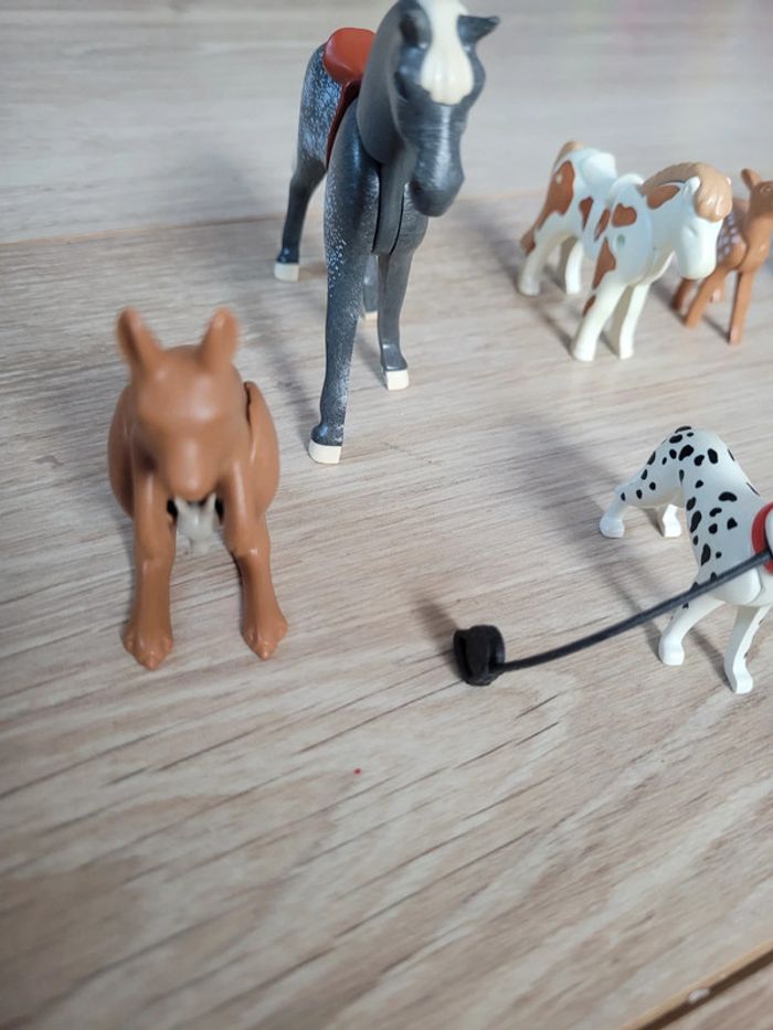 lot divers animaux Playmobil - photo numéro 5