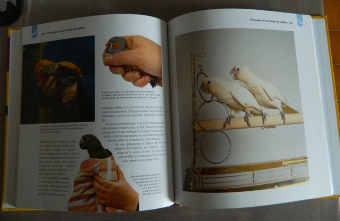 Entretien des oiseaux de cage et de volière -David Alderton - photo numéro 3