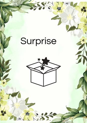 Colis surprise