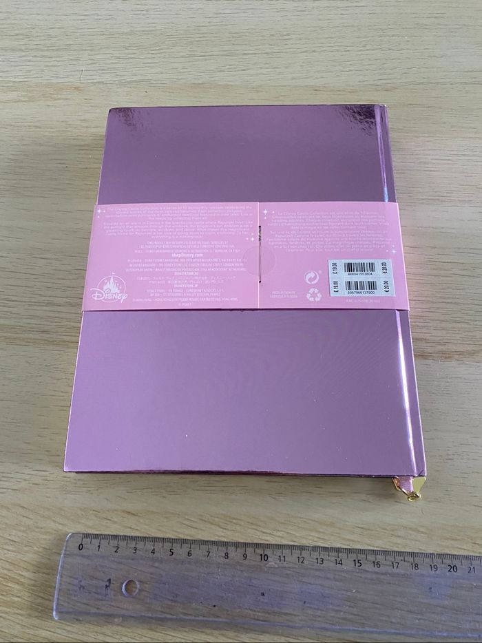 Carnet cahier collection disney princesse raiponce Rapunzel castle chateau tangled édition limitée - photo numéro 7