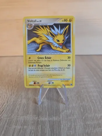 Voltali niv.39 23/100