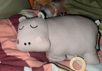 Peluche musique