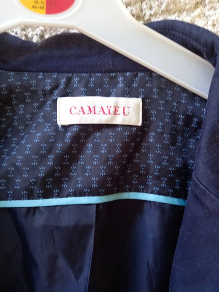 Blazer camaieu grande taille - photo numéro 2