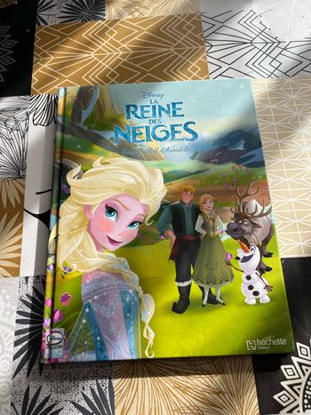 Livre la reine des neiges
