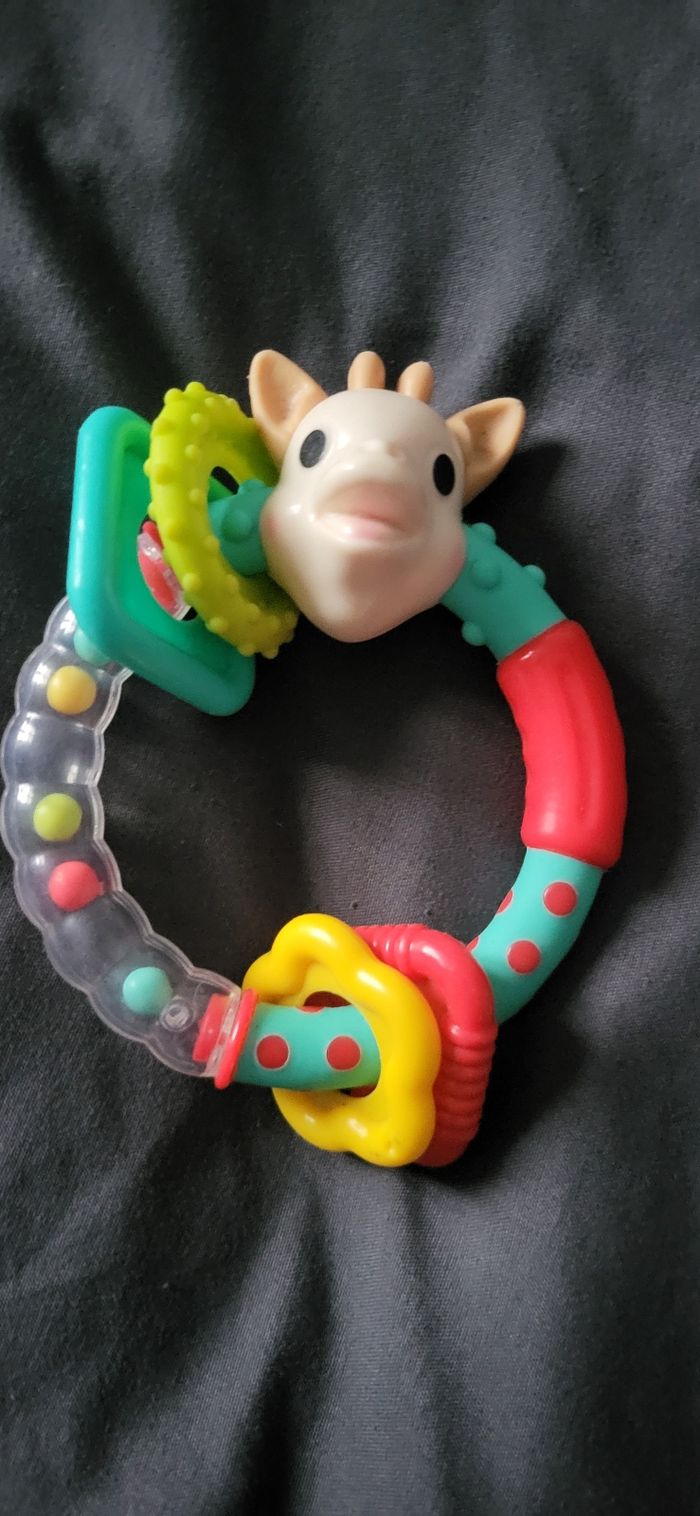 Grand livre + 1 hochet - photo numéro 7