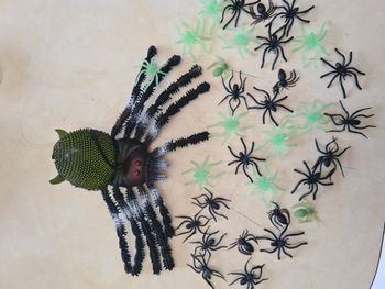 Araignées déco d'Halloween