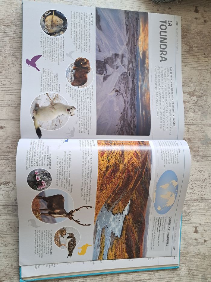 La grande encyclopédie visuelle de la nature - photo numéro 8