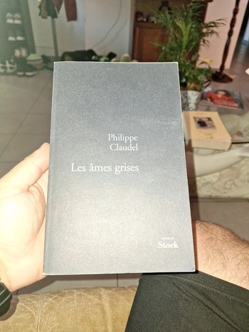 Livre les âme grises