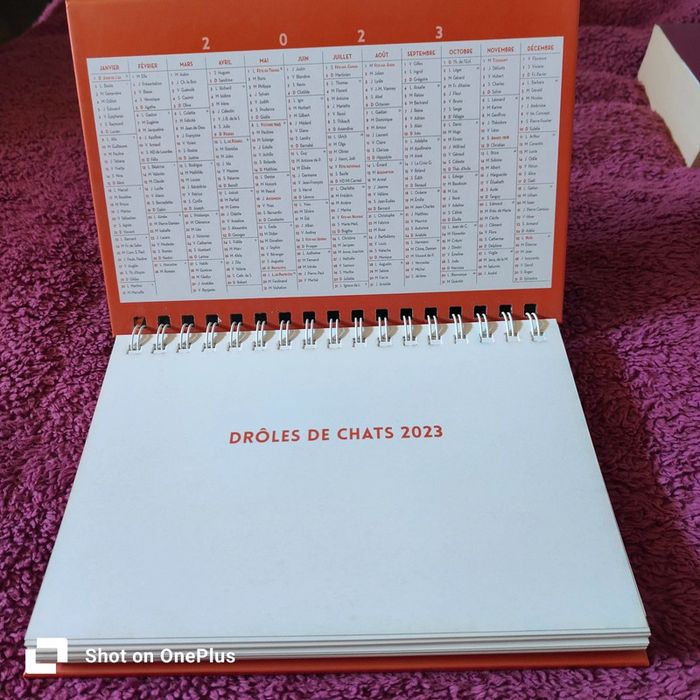 Drôles de chats agenda-calendrier 2023 - photo numéro 3