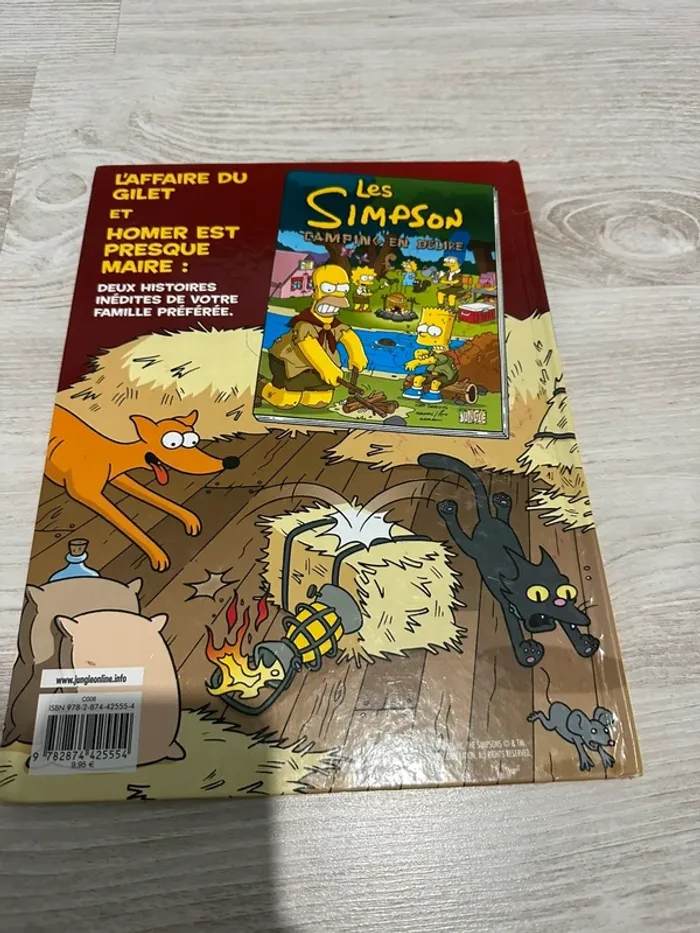 BD Simpson - photo numéro 2