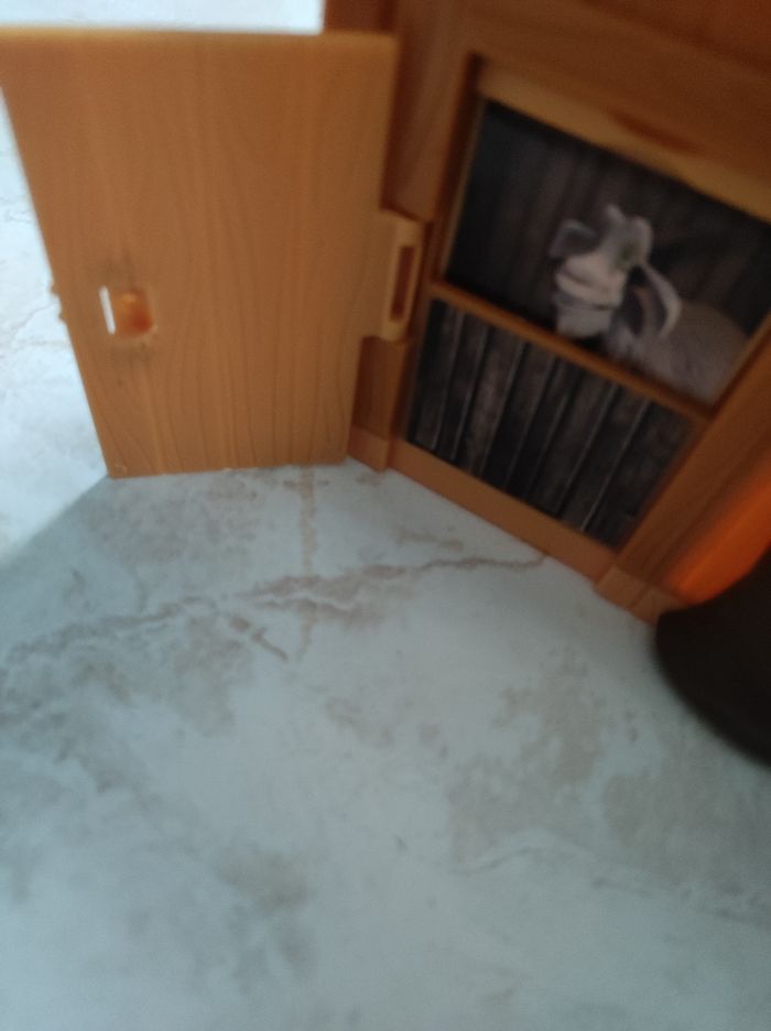 Maison Masha et mishka - photo numéro 6