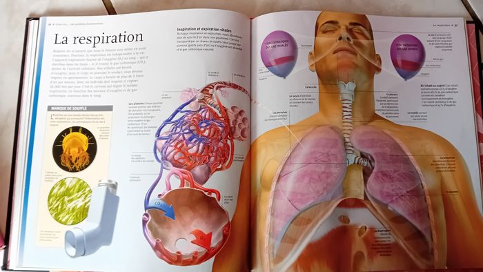 Livre "Le corps Humain" - photo numéro 4