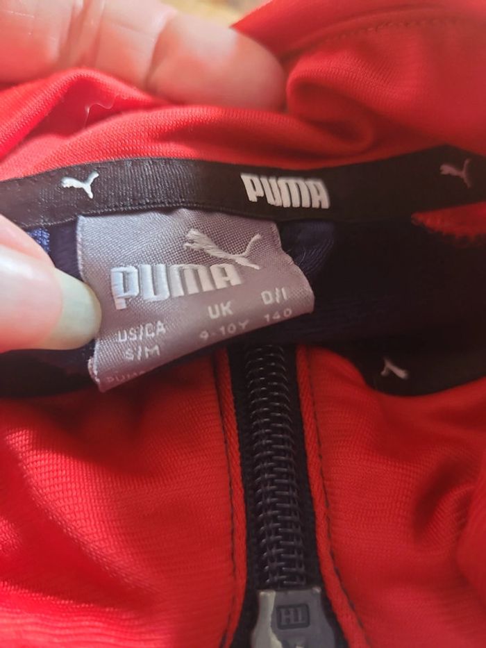 Ensemble puma - photo numéro 9