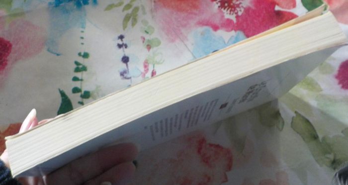 LE CRUCIFIX DE MAREK de Daniel SCOURZIC Ed. Dominique - photo numéro 5