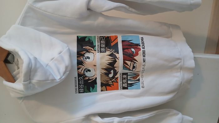 Sweat à capuche - photo numéro 2