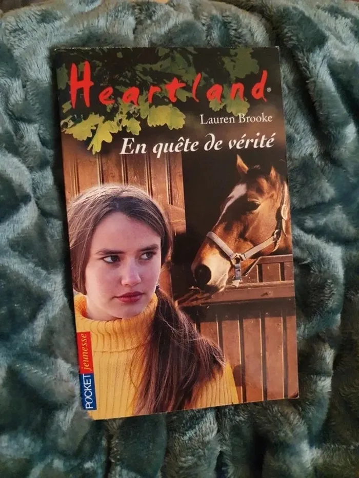 Lot 2 Livres pocket jeunesse - photo numéro 4