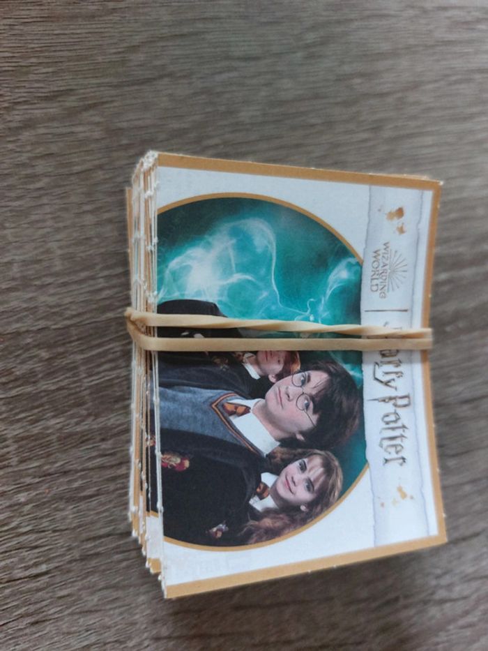 Album Harry Potter La magie de l'amitié - photo numéro 3