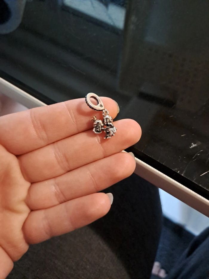 Accessoire - photo numéro 2