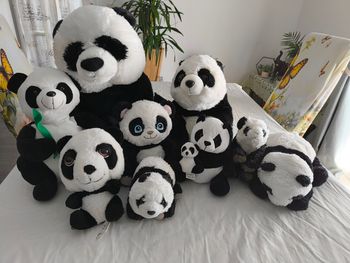 Lot peluches panda