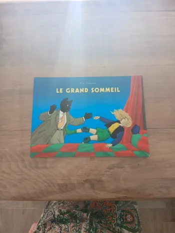 Le grand sommeil yvan pommaux