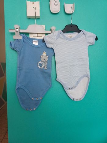 Bodys bébé