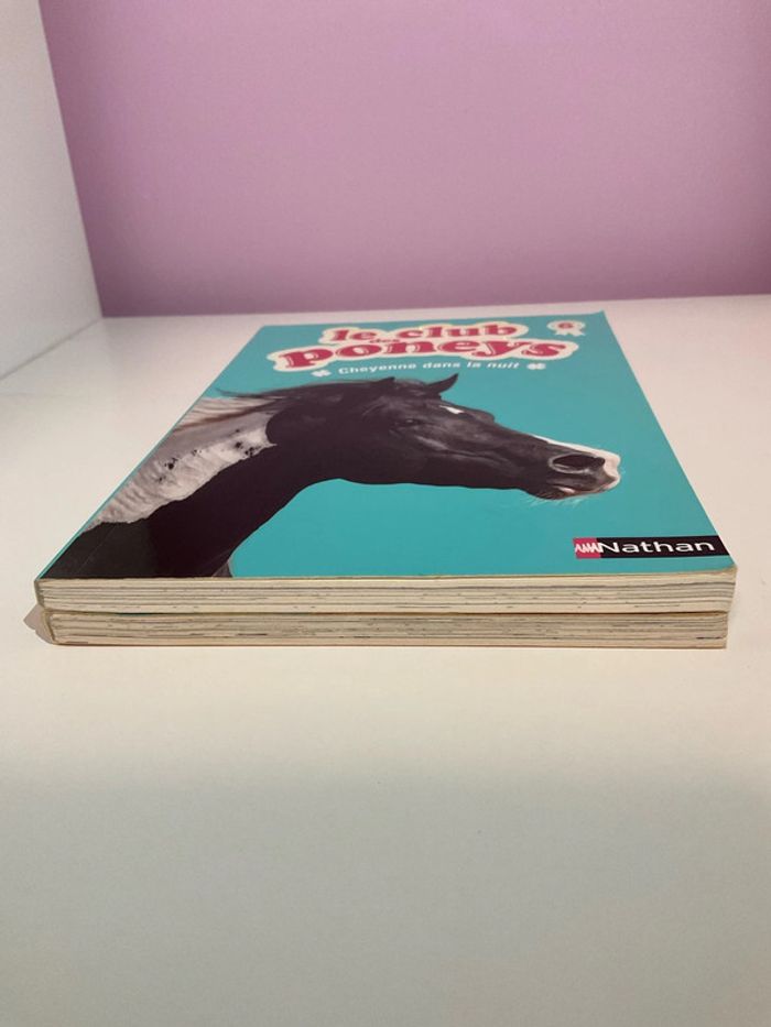 Lot livres collection Le club des poneys (Tomes 4 et 6) - photo numéro 4