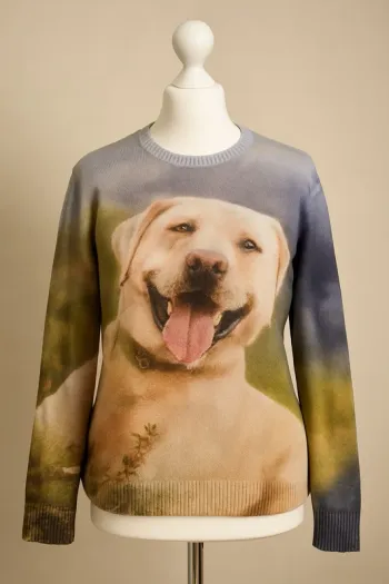 Pull imprimé chien Labrador - Taille L