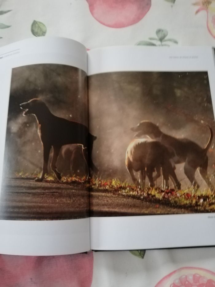 2 livres de chasse - photo numéro 3