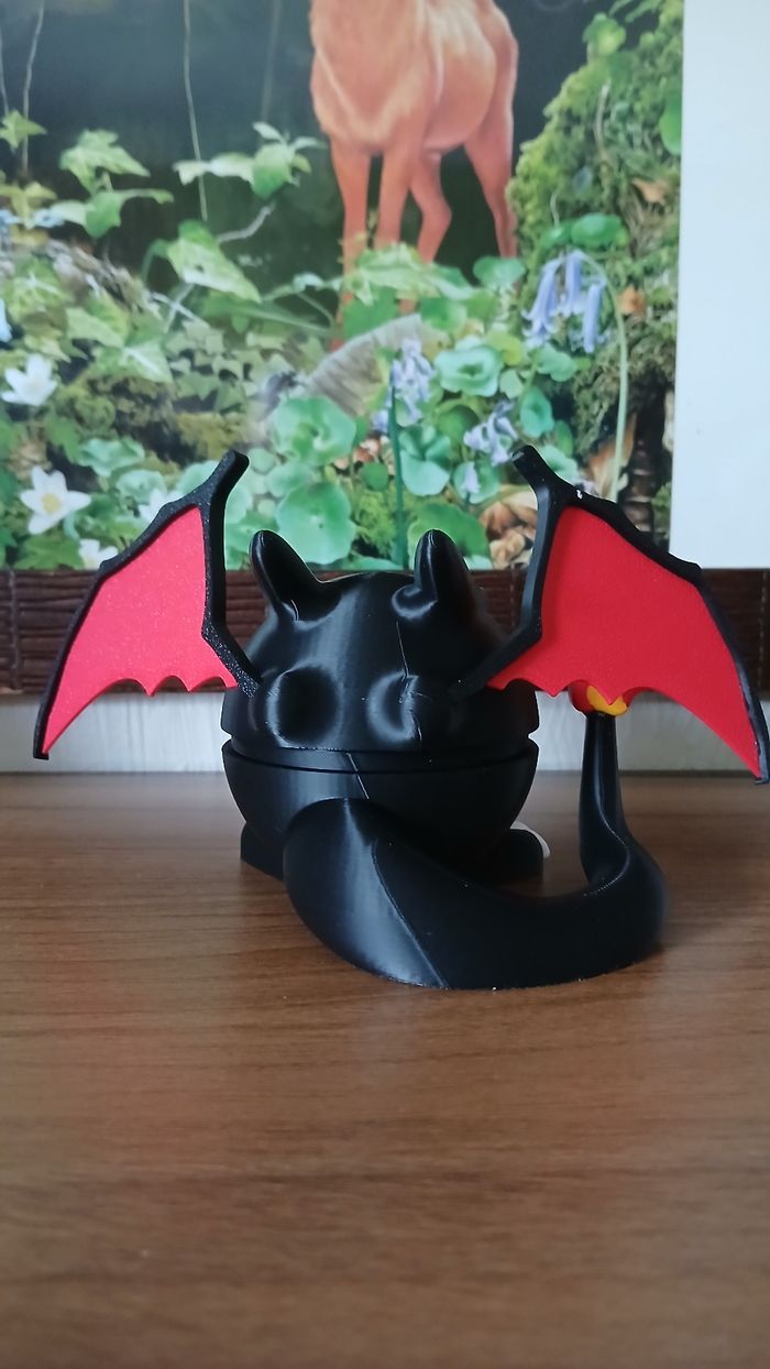 Pokeball Dracaufeu Shiny - photo numéro 4