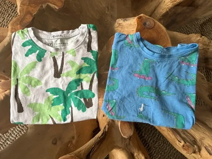 Lot de 2 t shirt Primark - photo numéro 2