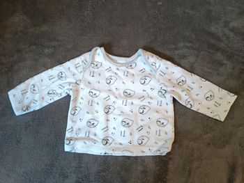Pull velours - motif pingouin