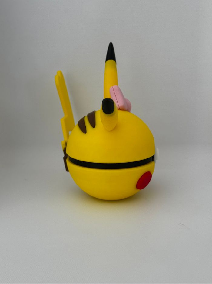 Pokeball pikachu fille - photo numéro 4
