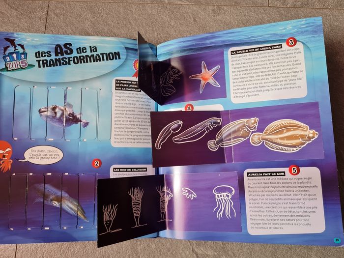 Livre créatures de la mer 1 2 3 doc fleurus attention les coins un peu abîmé - photo numéro 7