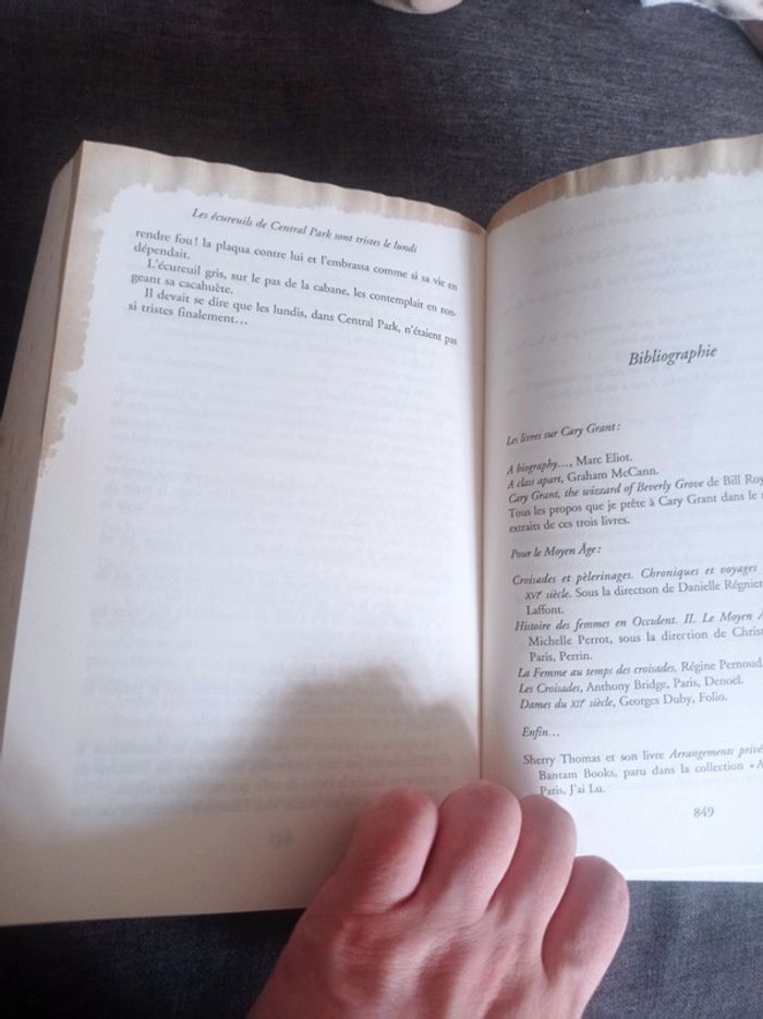 Livre les écureuils de central Park sont tristes le lundi - photo numéro 6