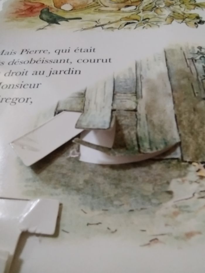 Le grand livre animé de Pierre lapin - Rare - photo numéro 9