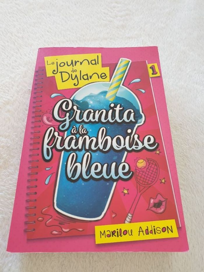 Livre Le journal de Dylane