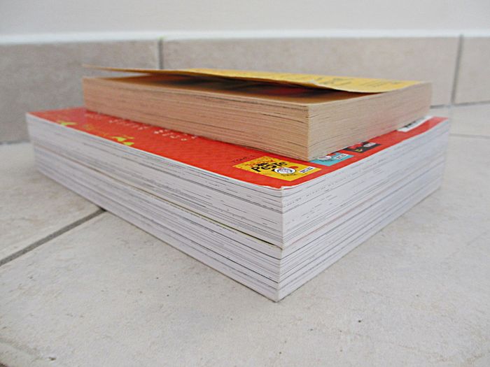 Lot de 3 livres enfant Journal d’une Peste – Tomes 1, 2 et 5 - photo numéro 4