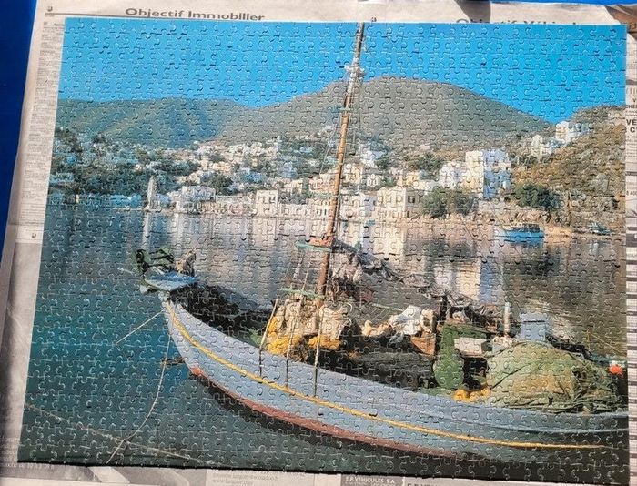 Puzzle adulte 1008 pièces