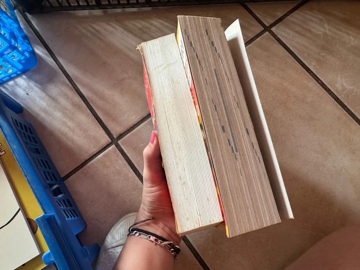 Dictionnaire anglais français et espagnol français - photo numéro 2