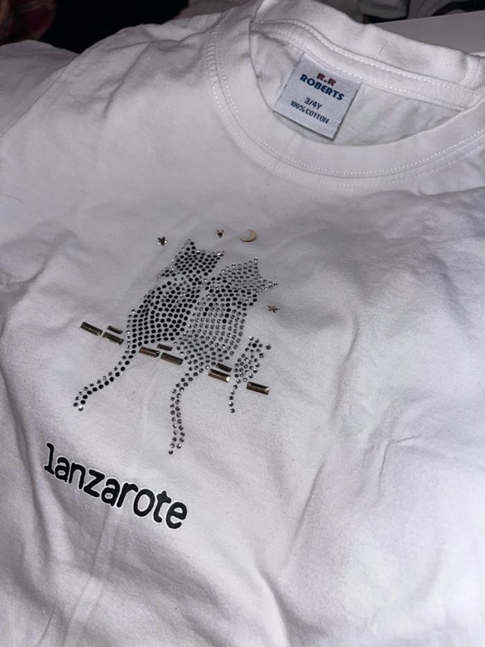 3 t-shirt souvenir lanzarote , dijon , île de ré - photo numéro 2
