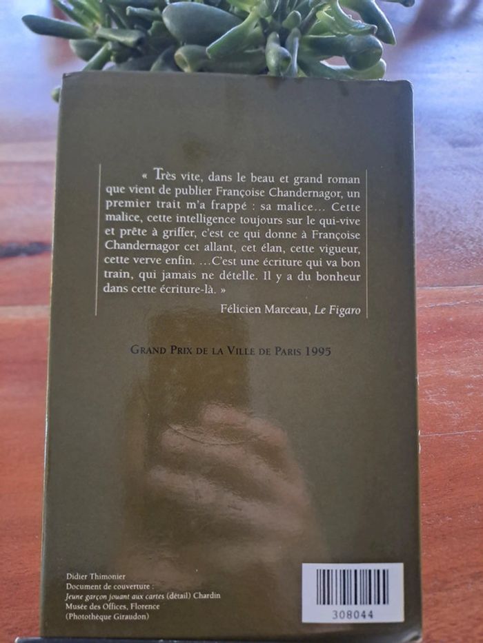 Livre l'enfant des Lumières, Françoise Chandernagor - photo numéro 2