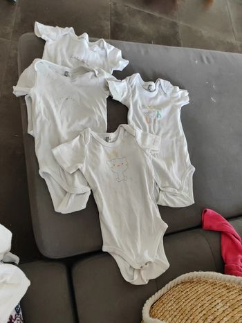 Lot de bodies manches courtes