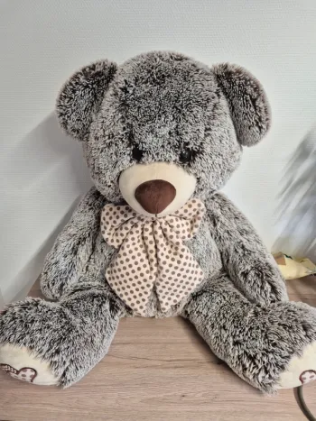 Ours en peluche