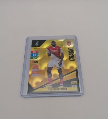 Carte Panini Adrenalyn xl 2024-25.