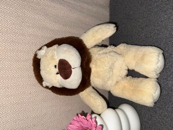 Doudou lion