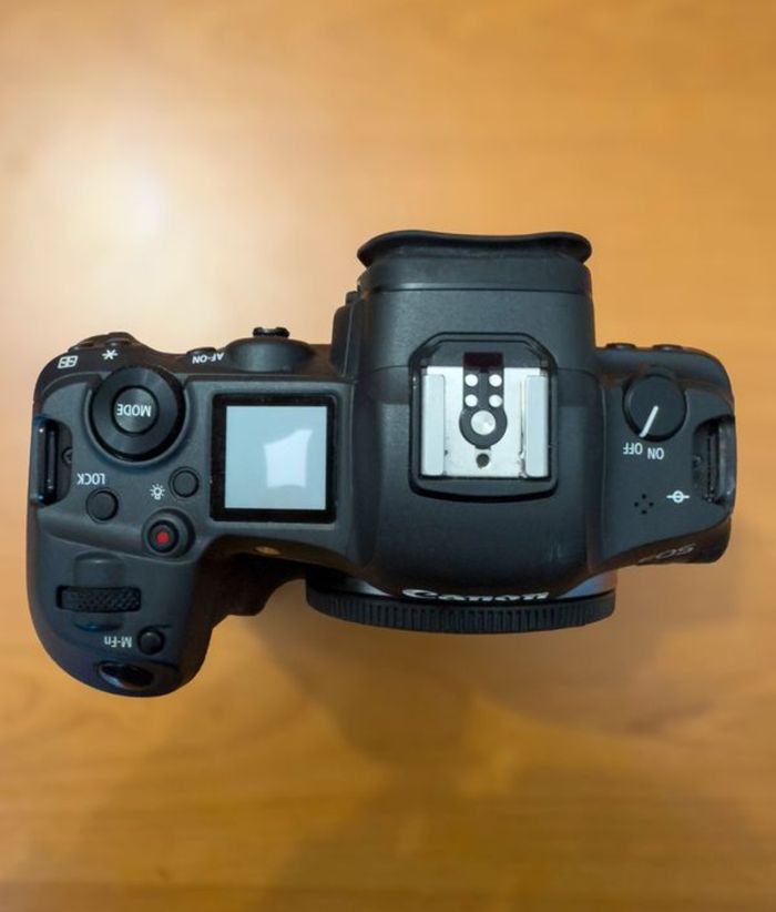 Canon EOS R5 + Grip BG-10 - photo numéro 4
