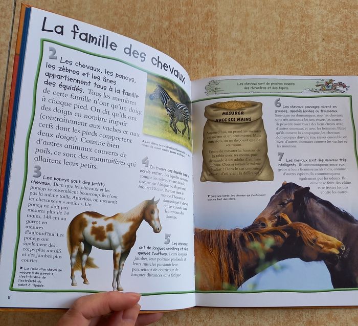 Livre 📖 Les chevaux - photo numéro 2