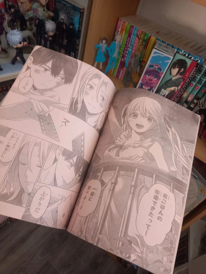 Magazine shonen jump manga 2022 - photo numéro 9